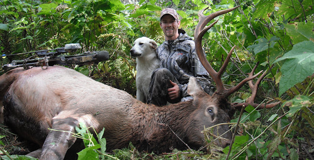 Rocky Mountain Elk Hunts