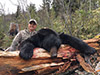 BC Black Bear Hunts