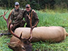 Elk Hunting in BC