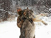 BC Winter Wolf Hunt