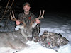 BC Deer Hunts