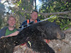 Black Bear  Hunts