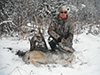 Winter Wolf Hunting