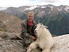 BC Mountain Goat Hunts