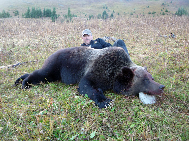 Bear hunts in canada prices